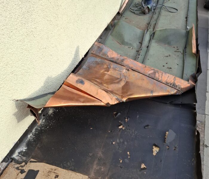 PHOTO-2026-03-07-09-32-45